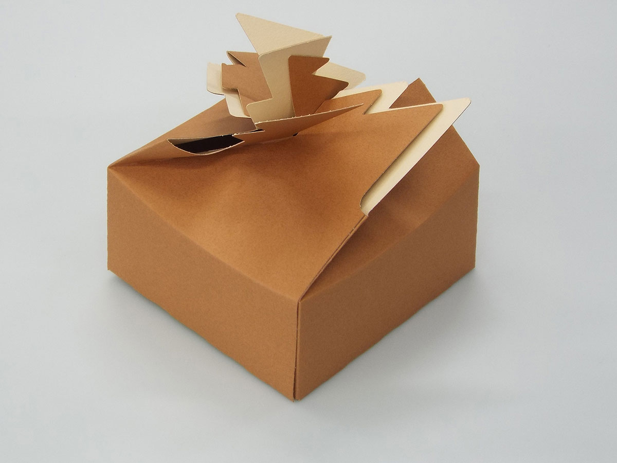 クリスマスツリー化粧箱ボックス05